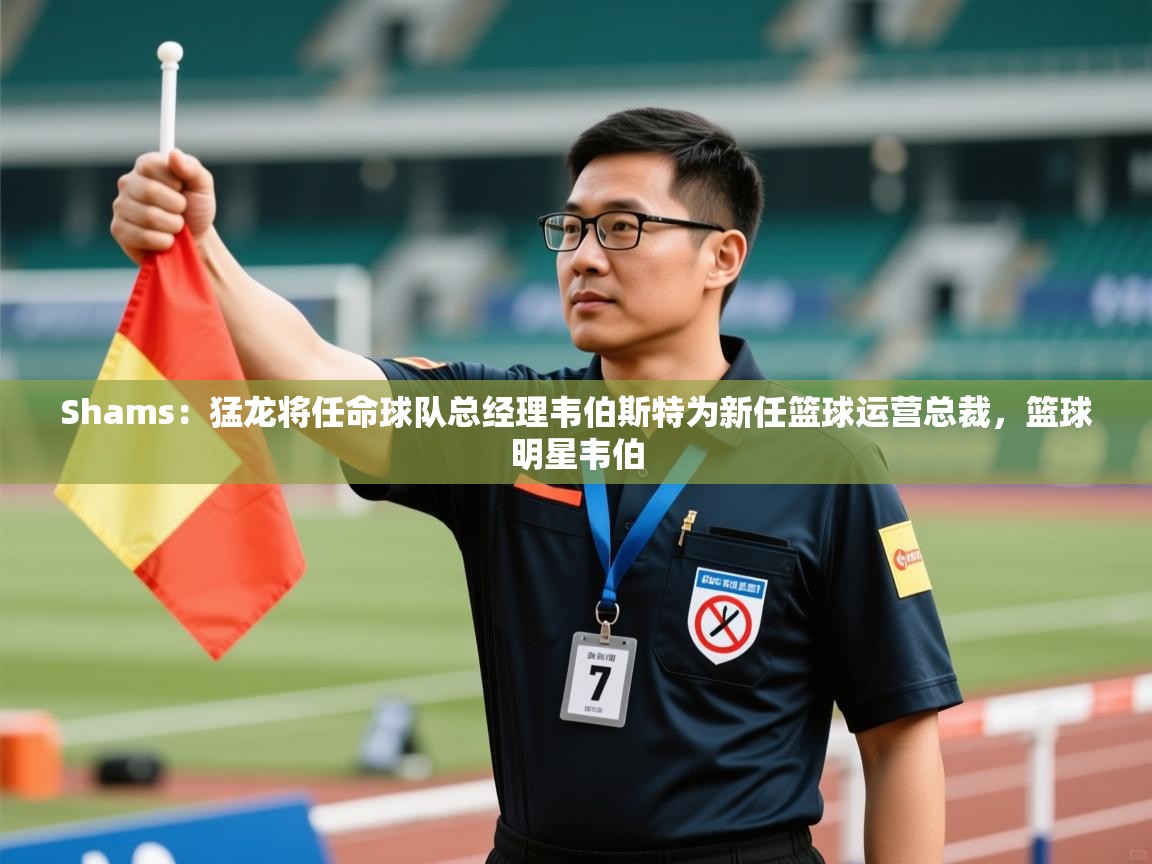 海星体育app下载官网-Shams:猛龙将任命球队总经理韦伯斯特为新任篮球运营总裁,篮球明星韦伯 第1张
