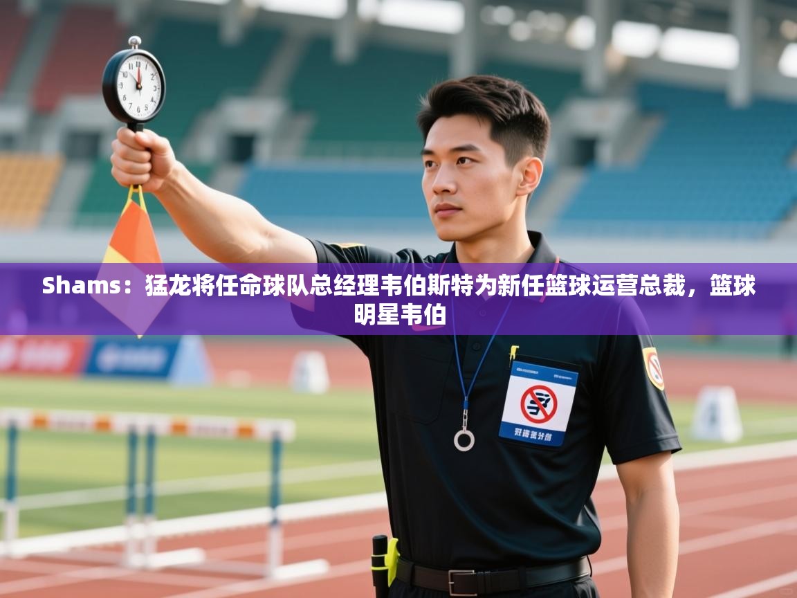 海星体育app下载官网-Shams:猛龙将任命球队总经理韦伯斯特为新任篮球运营总裁,篮球明星韦伯 第2张
