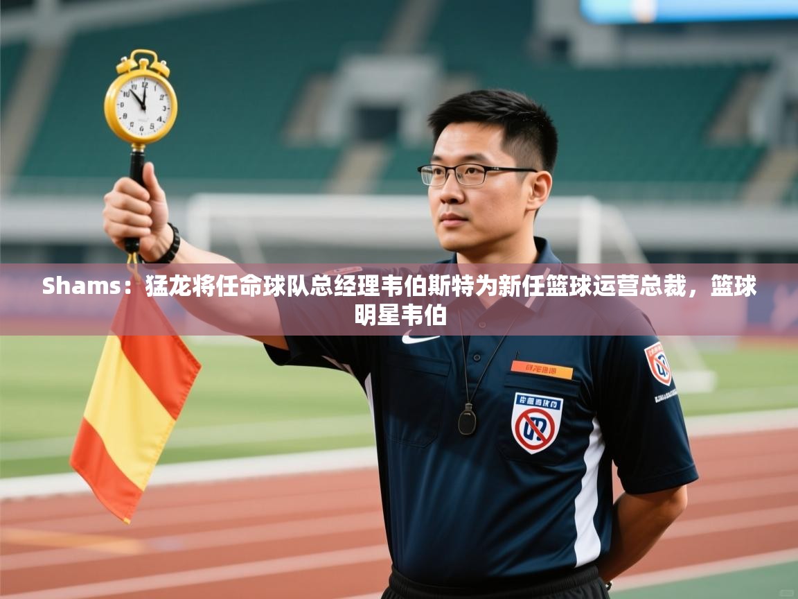海星体育app下载官网-Shams:猛龙将任命球队总经理韦伯斯特为新任篮球运营总裁,篮球明星韦伯 第3张
