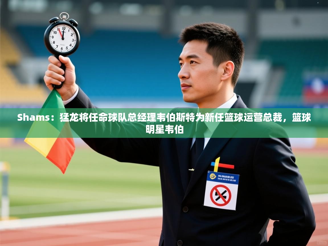 海星体育app下载官网-Shams:猛龙将任命球队总经理韦伯斯特为新任篮球运营总裁,篮球明星韦伯 第4张