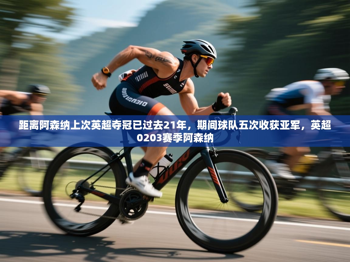 海星体育在线直播-距离阿森纳上次英超夺冠已过去21年，期间球队五次收获亚军，英超0203赛季阿森纳  第1张