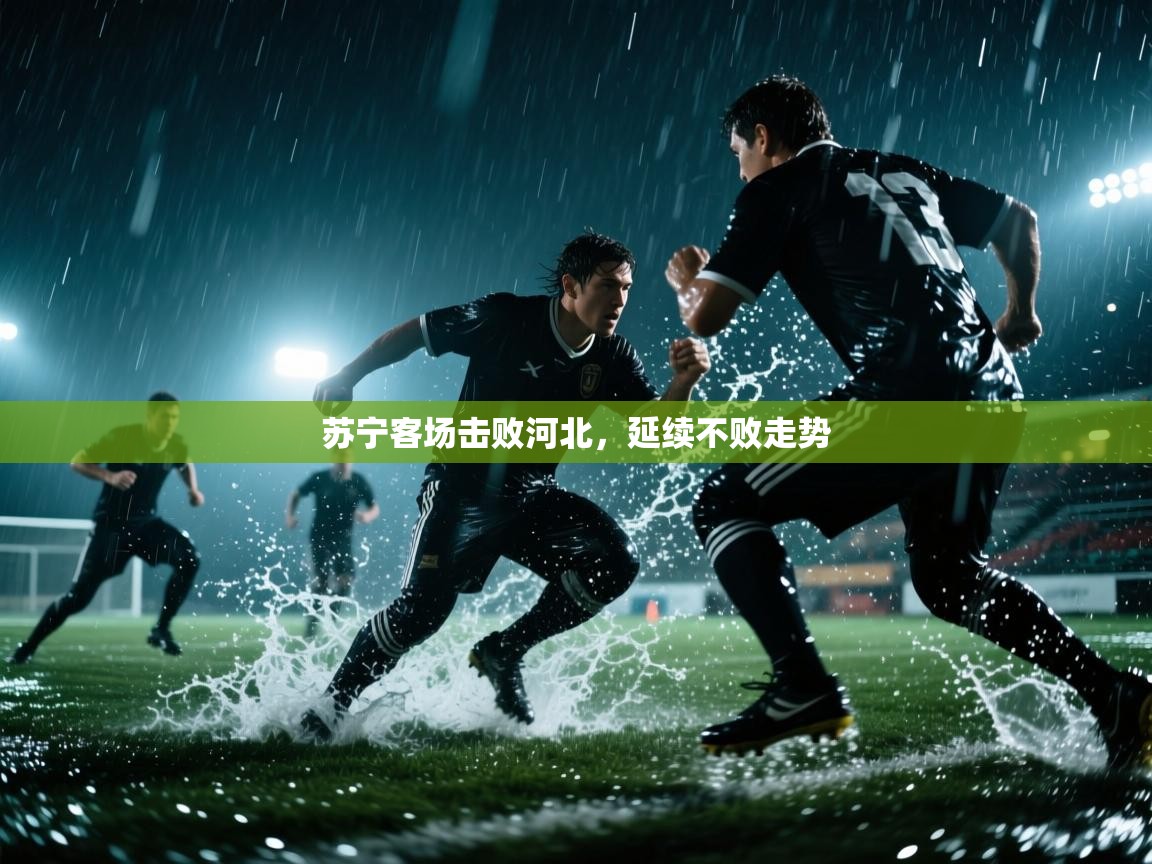 海星体育直播在线观看-高清免费赛事直播平台-海星体育直播-苏宁客场击败河北，延续不败走势  第4张