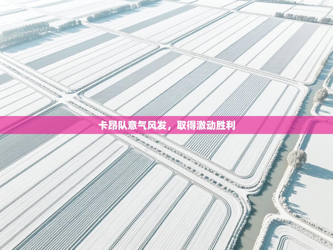 海星体育直播官网-卡昂队意气风发，取得激动胜利  第3张