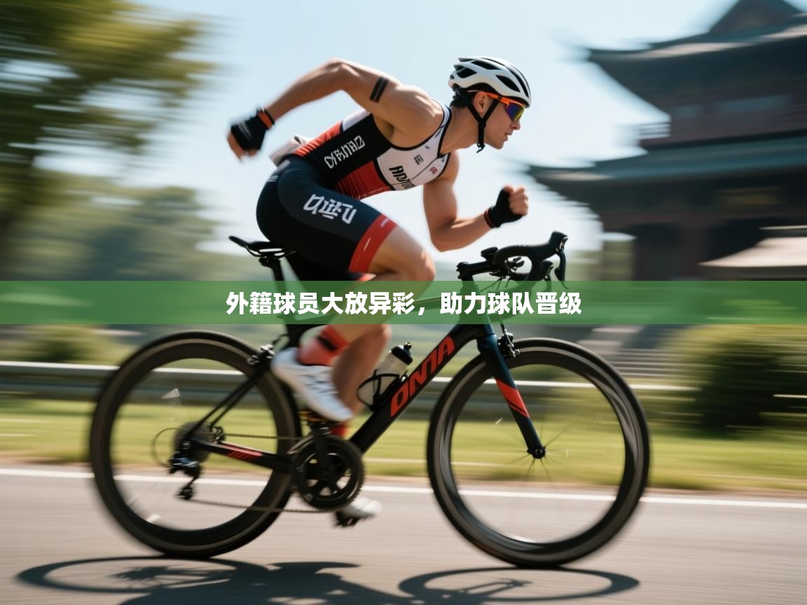 海星体育app官方下载版-外籍球员大放异彩，助力球队晋级  第1张