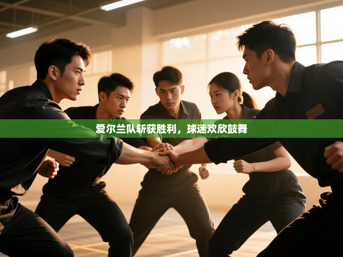 海星体育下载-爱尔兰队斩获胜利，球迷欢欣鼓舞  第2张