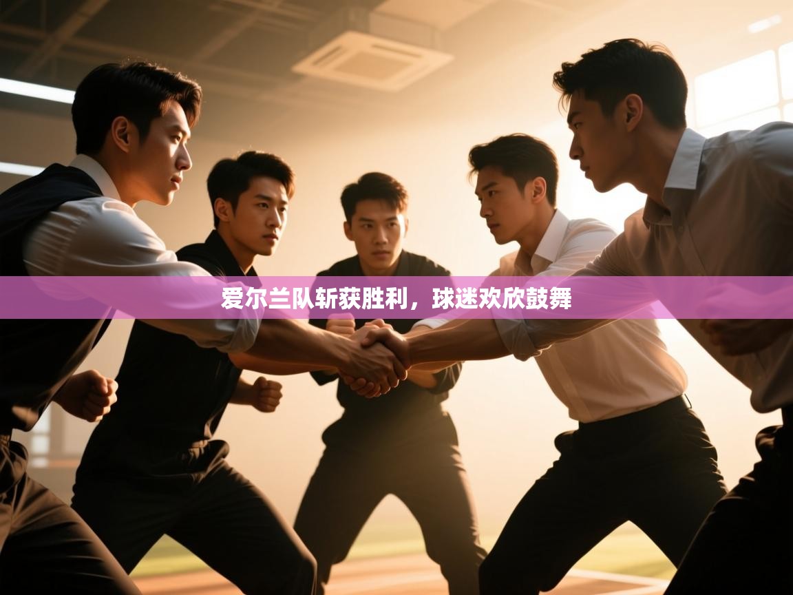 海星体育下载-爱尔兰队斩获胜利，球迷欢欣鼓舞  第3张