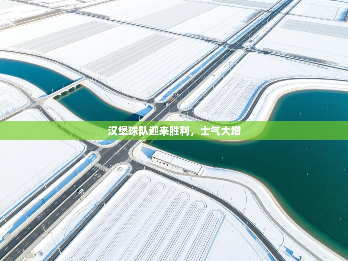 海星体育直播-汉堡球队迎来胜利,士气大增 第2张