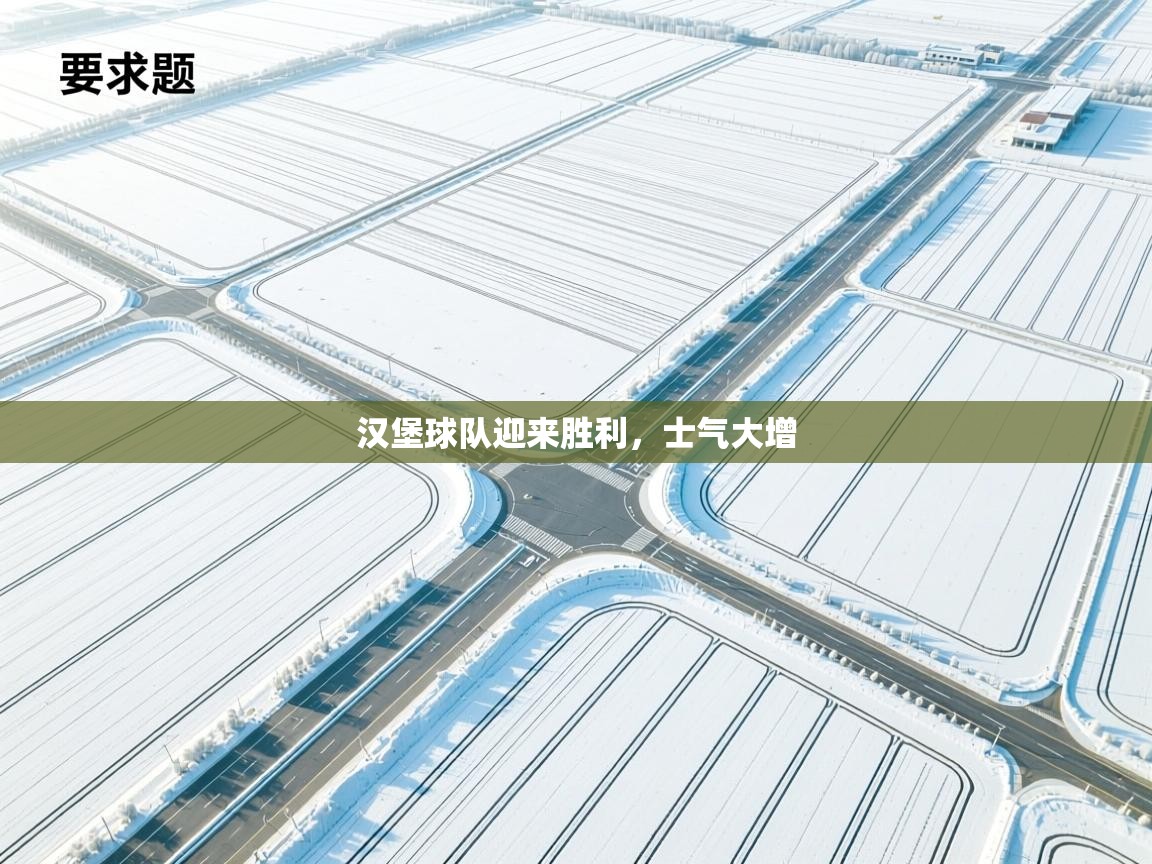 海星体育直播-汉堡球队迎来胜利，士气大增