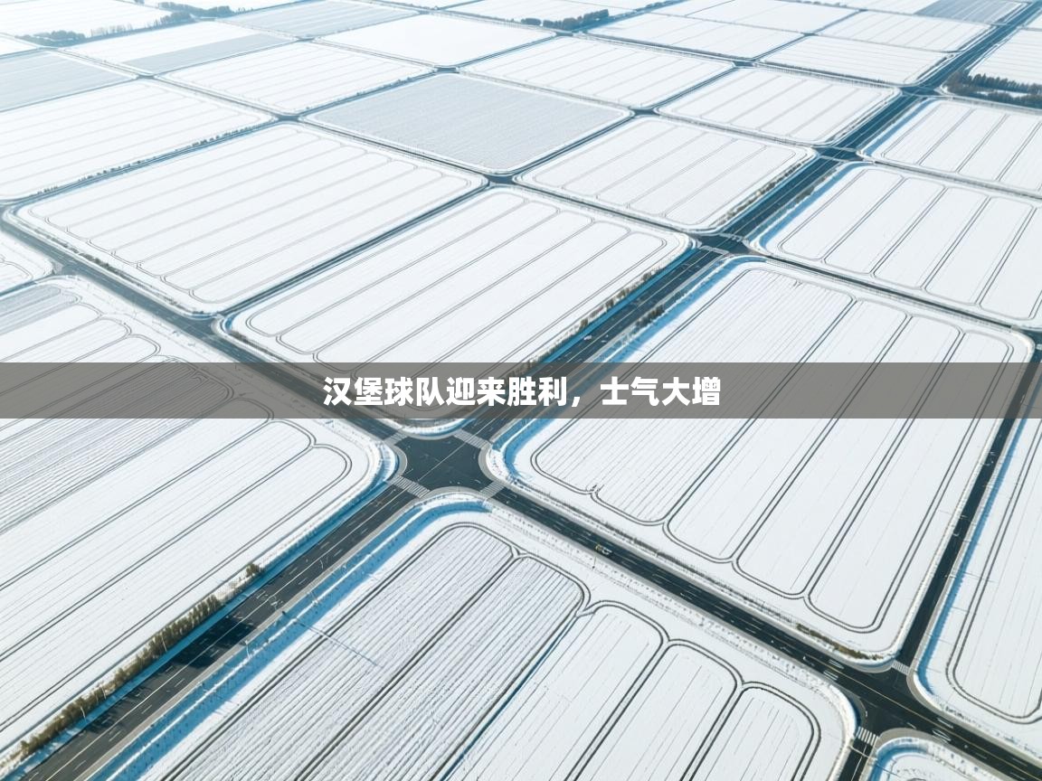 海星体育直播-汉堡球队迎来胜利,士气大增 第3张