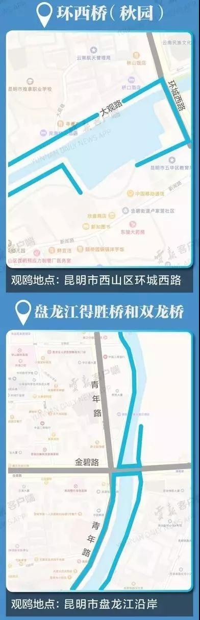 关于安徽九华队喜迎得胜好消息，实力赢得认可的信息