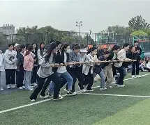 阿姆堡队全队齐心协力，共赴胜利的简单介绍